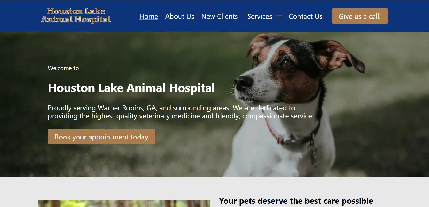 The home page of the houston lake animal hospital website.